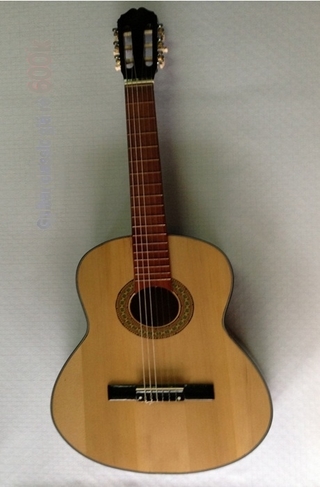 Đàn Guitar classic phổ thông 500